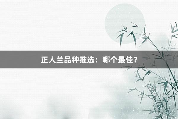 正人兰品种推选：哪个最佳？